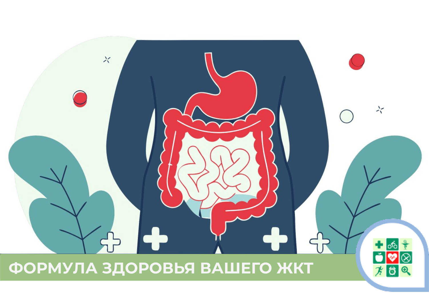 Инвестиция в долголетие: простая формула здоровья вашего ЖКТ. 