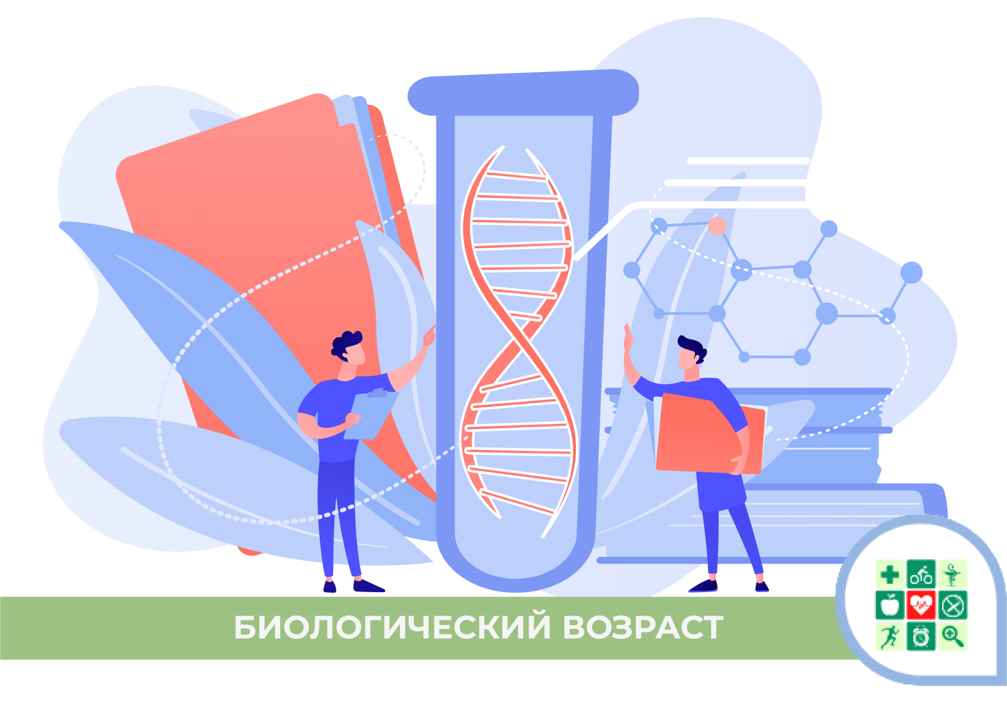 Биологический возраст: что это такое и почему его важно знать