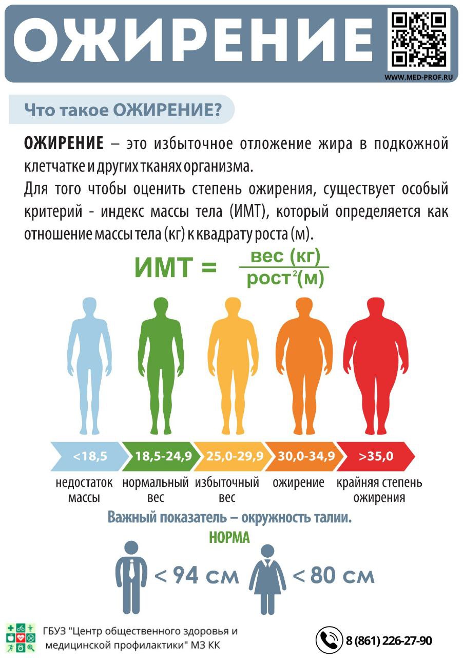 Буклеты и листовки