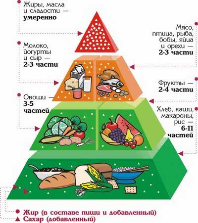 Что такое пирамида здорового питания? секрет